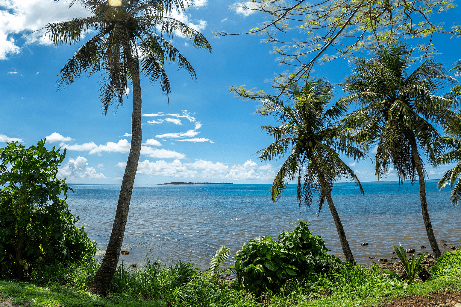 컨텐츠 이미지 03